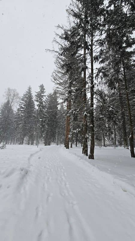 Ekoparkvatutinki100 - Image 1