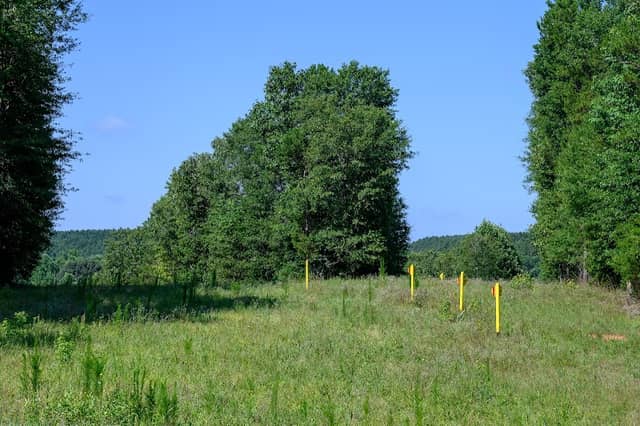 Broad River Wildlife Management Area - Image 2