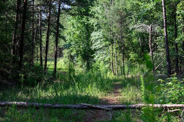 Broad River Wildlife Management Area - Image 3