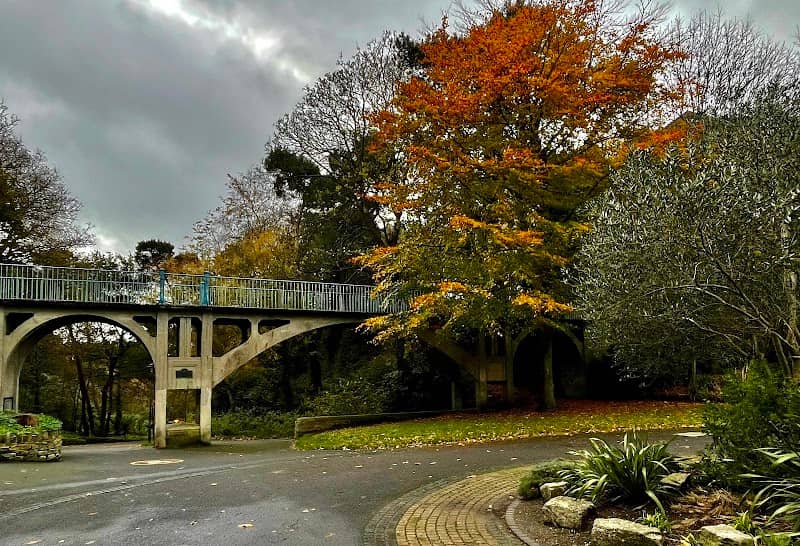 Boscombe Chine Gardens - Image 2