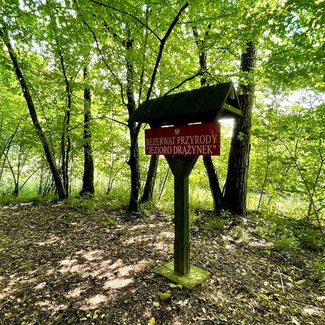 Rezerwat przyrody Jezioro Drążynek - Image 1