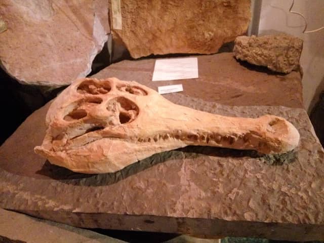 Museum of the Earth in Kletno - Image 1