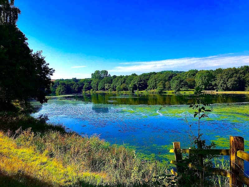 Hardwick Park (Ponds) - Image 1