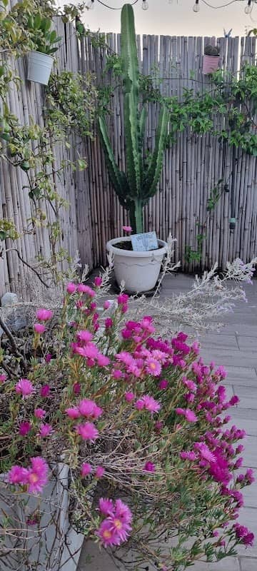 Rooftop Garden Casaferro - Image 1