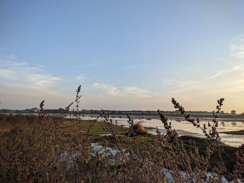 Bird Watching Tower - Image 1