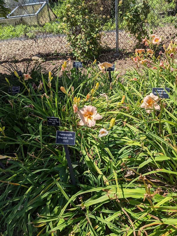Capen Garden, The Botanic Garden of Smith College - Image 1