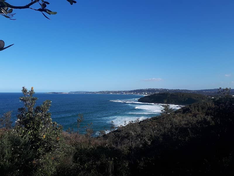 Warriewood Blow Hole - Image 2