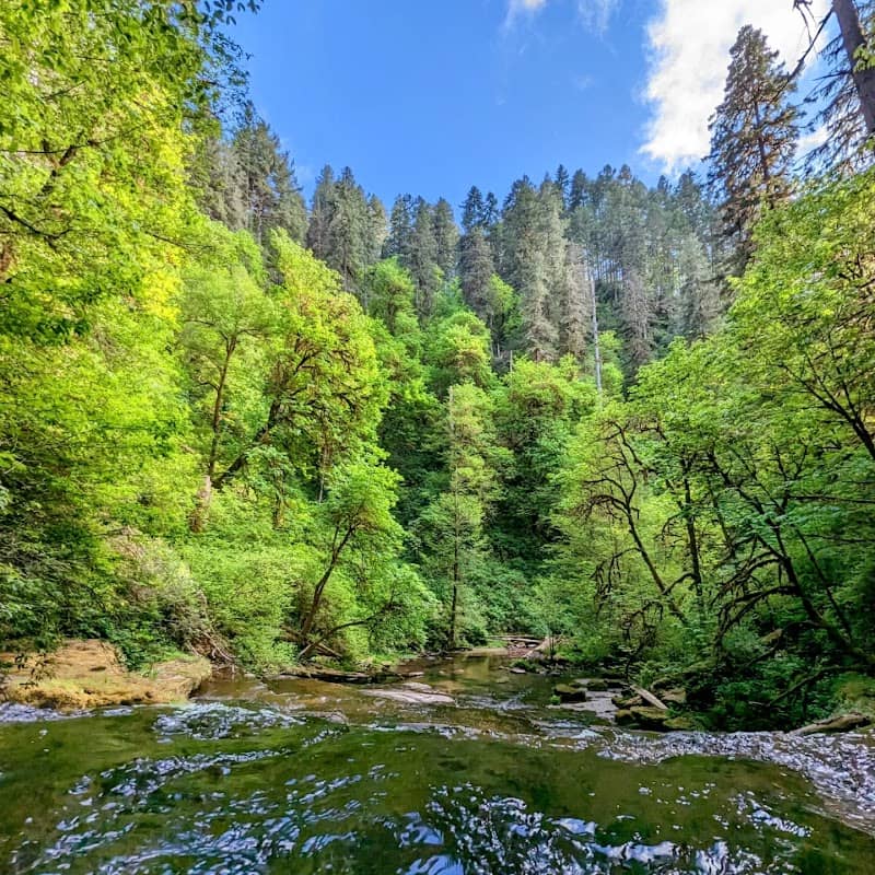 Devil's Staircase Wilderness - Image 1