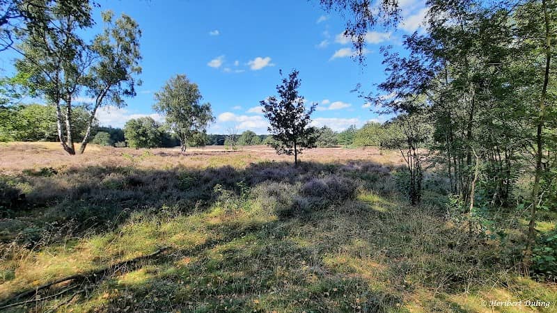 Vasser Heide - Image 1