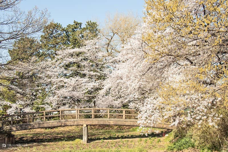 Azumasuiseishokubutsu Park - Image 1
