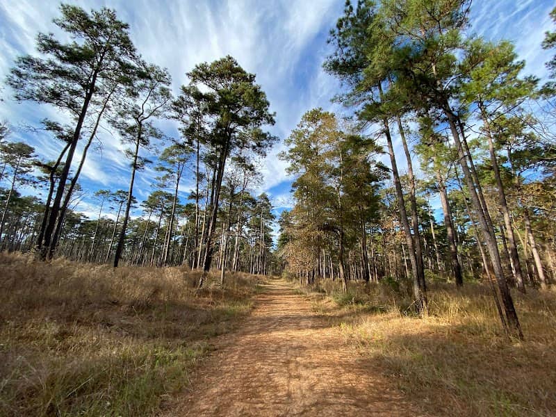 WG Jones State Forest Trail Head - Image 1