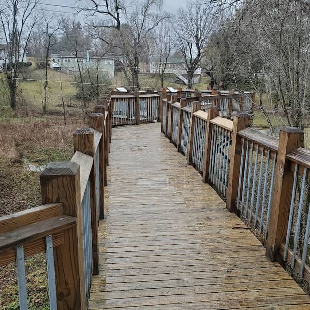 Indian Spring Wetland - Image 2