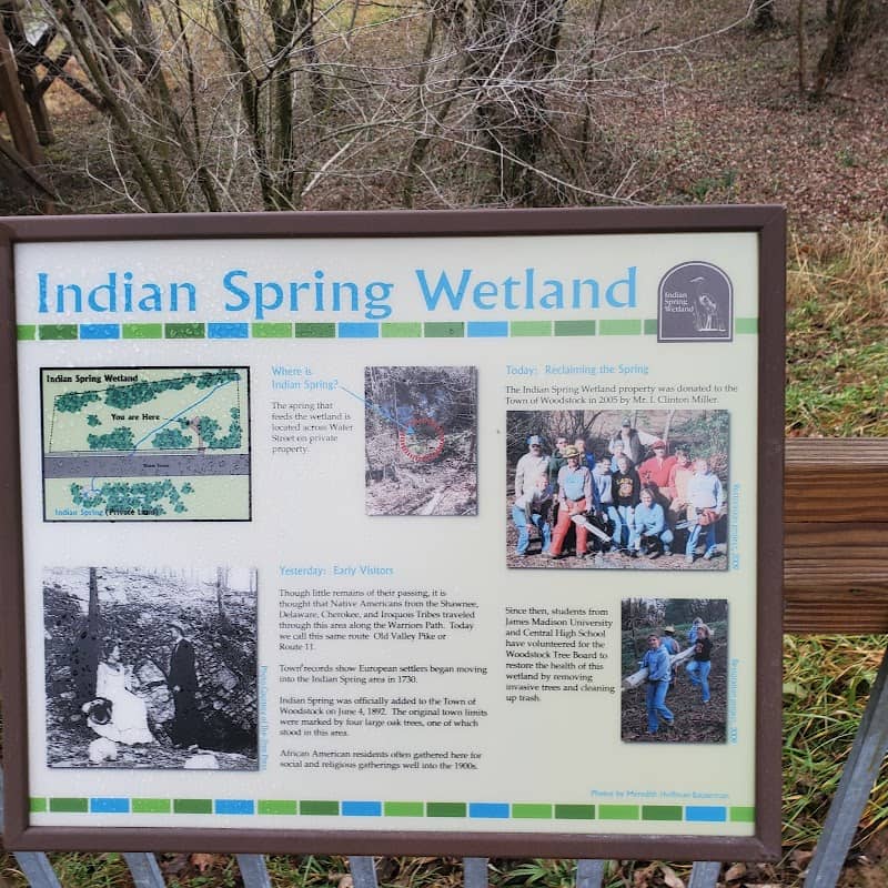 Indian Spring Wetland - Image 1