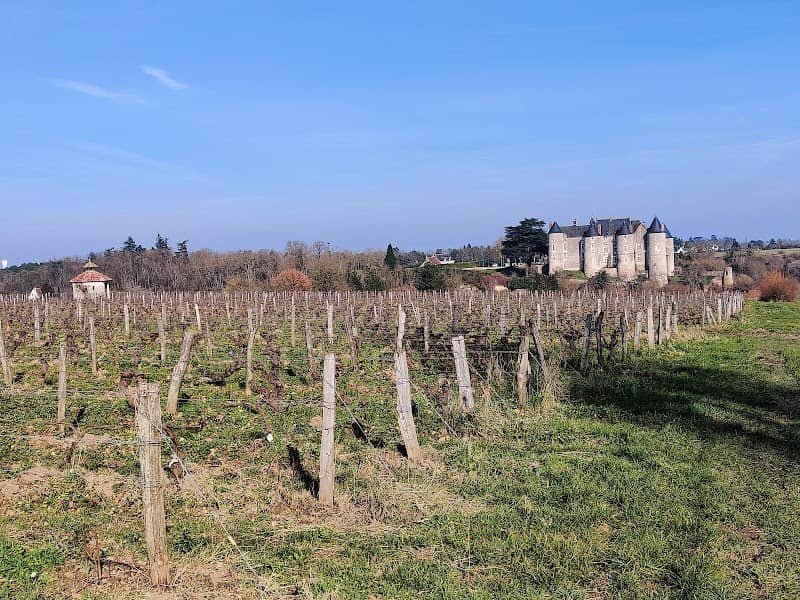 Luynes - Image 1