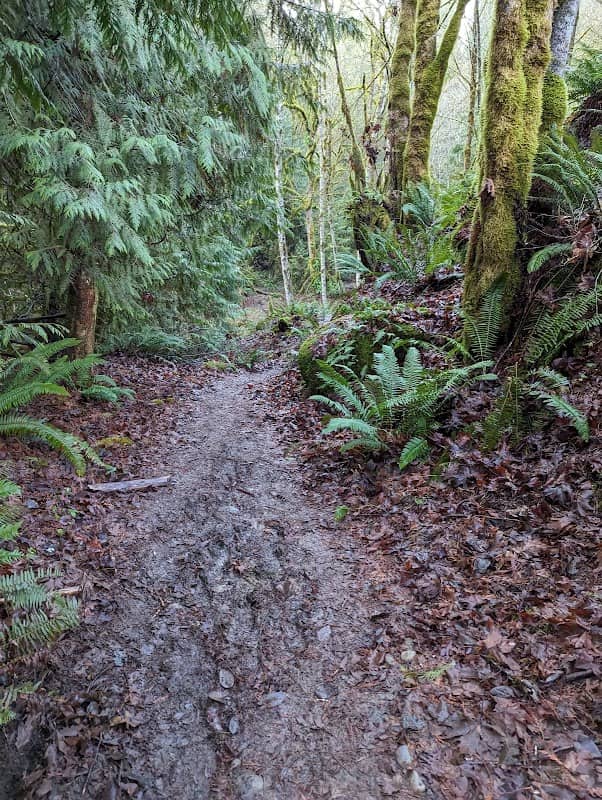 Sandy River Trail - Image 1