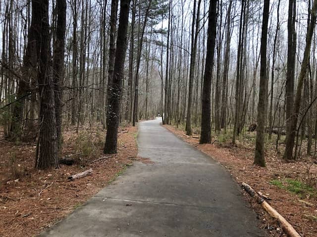 Suwanee Creek Park - Image 1