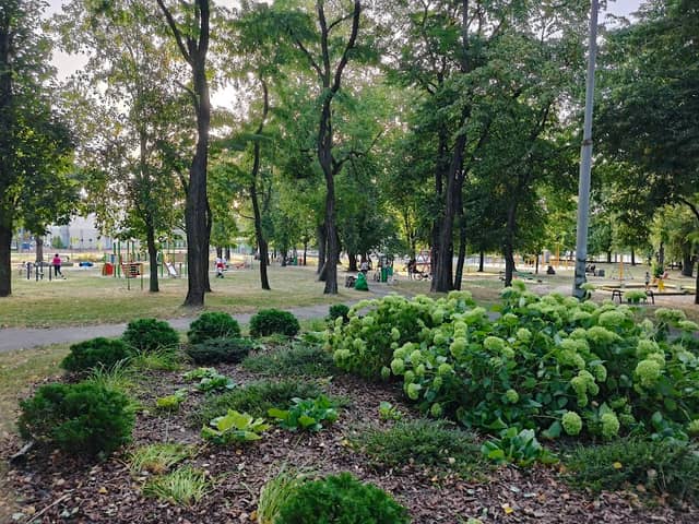 Park Jordanowski - Image 1