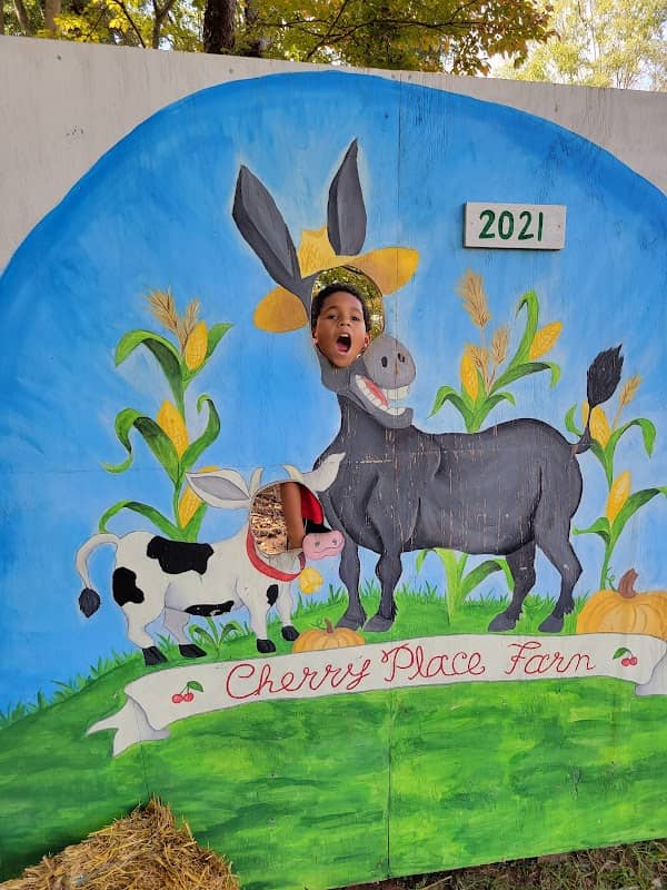 Cherry Place Farm - Image 2