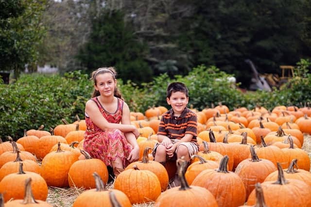 Cherry Place Farm - Image 1