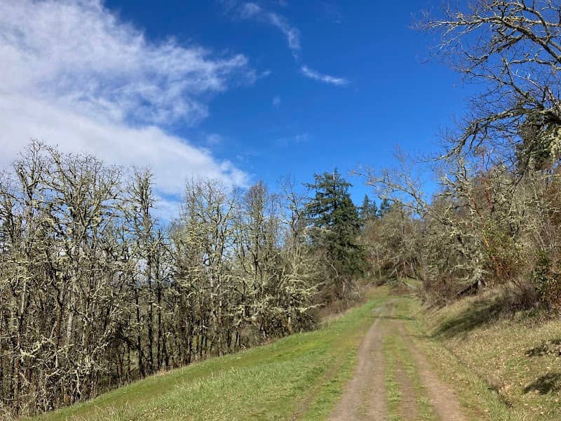 Wild Iris Ridge Park - Image 1
