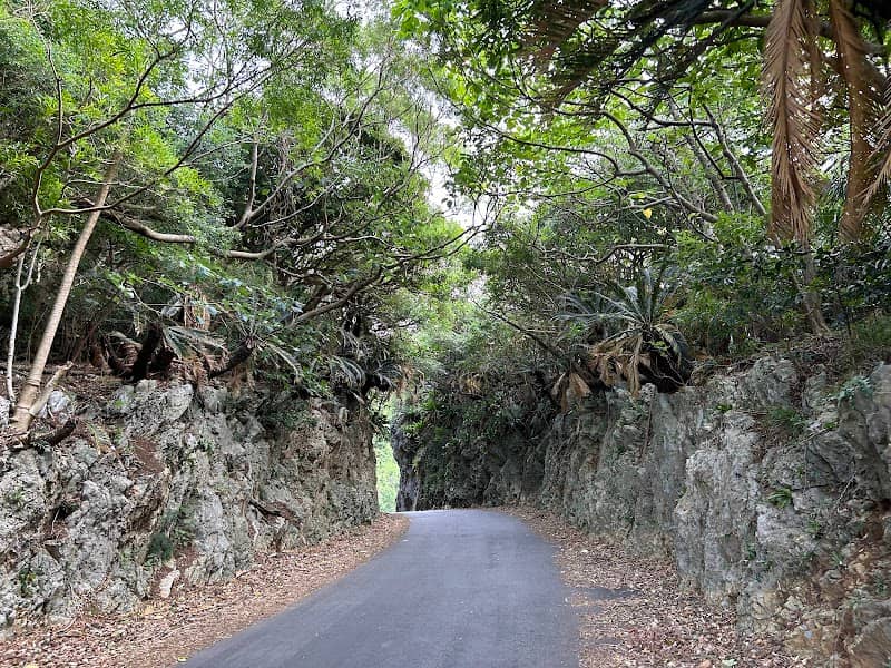 戻る道 - Image 1