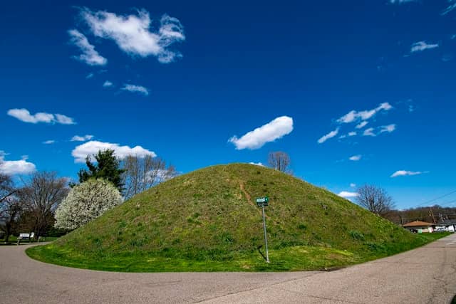 Hartman Mound - Image 1