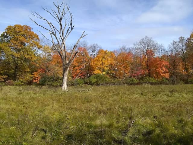 Inkster Park - Image 1
