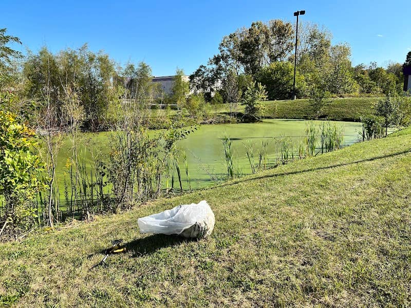 Teague Pond - Image 1