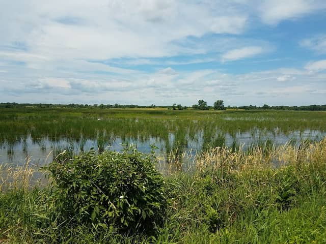 Buwalda Park - Image 1