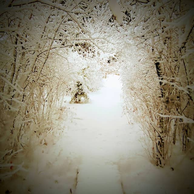 Aurora Alley - Image 1
