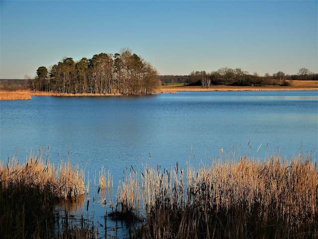 Wanderparkplatz Waldschänke Moritzburg - Image 1