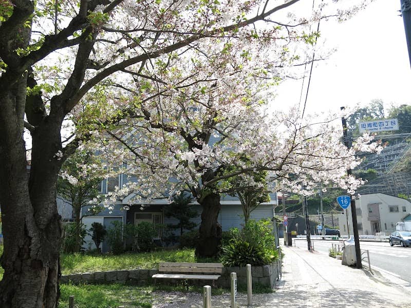 Taura Park - Image 2
