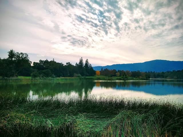 Vasona Lake County Park - Image 2