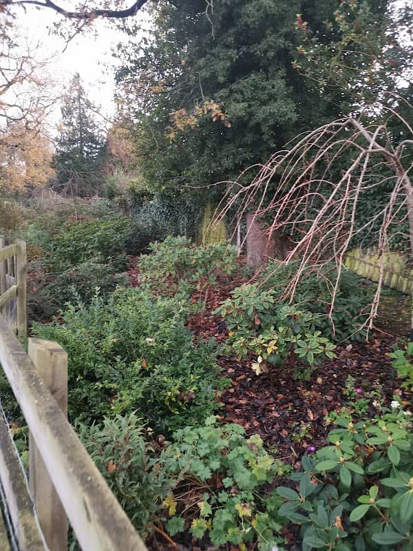 Lake Meadows Flower Garden - Image 1