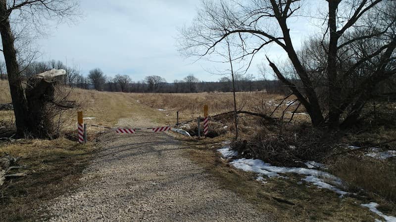 Coyote Parking Lot - Image 1