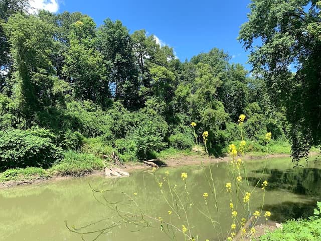 Geneseo River Access Park - Image 1