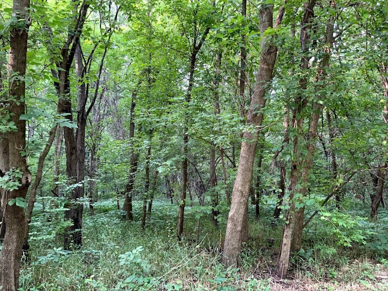 Forest Creek Park - Image 2