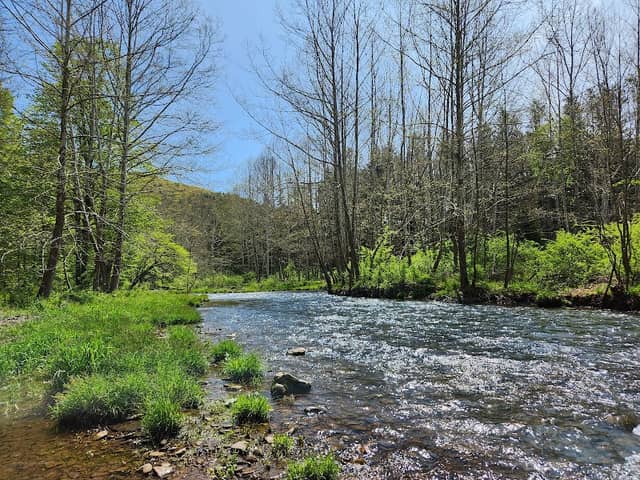 Susquehannock State Forest - Image 2