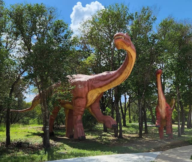 Bandera Natural History and Art Museum - Image 2