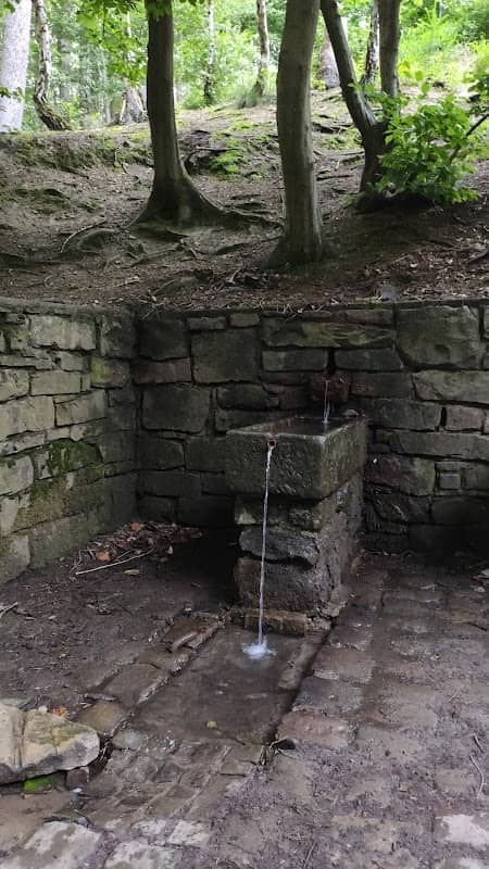 Gebirgsquelle Westerbach - Image 3