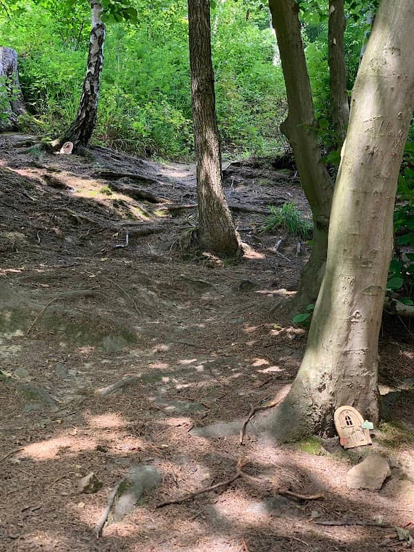 Gebirgsquelle Westerbach - Image 2