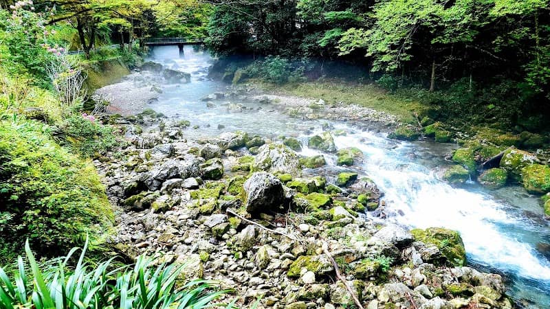 円原川 伏流水 - Image 1