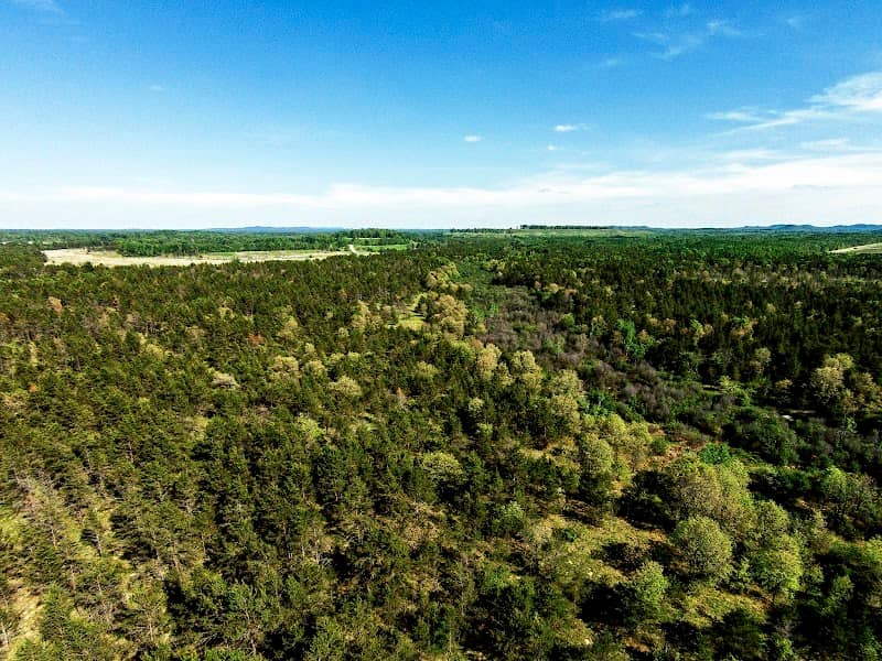 Bauer-Brockway Barrens State Natural Area - Image 2