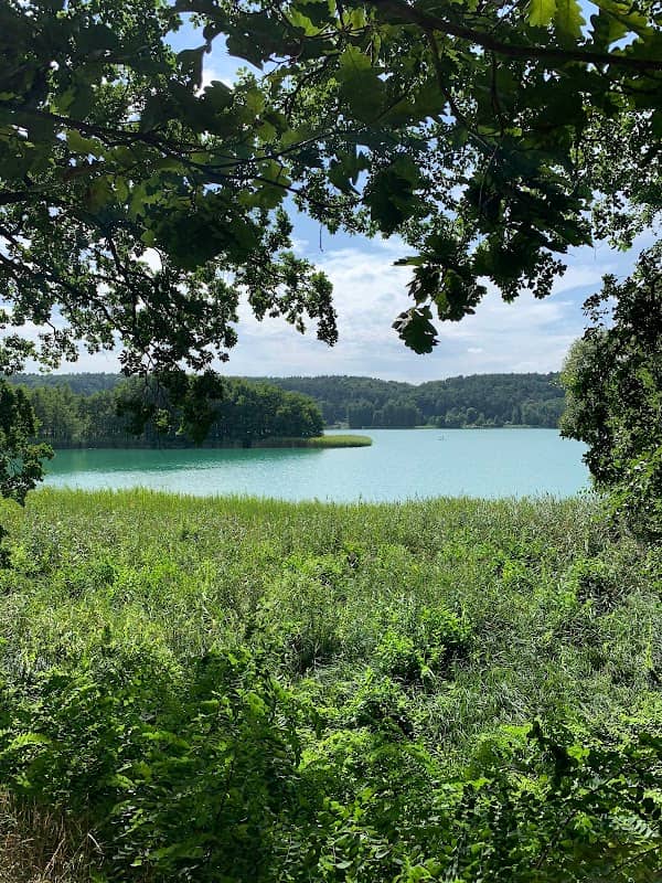 Aussichtspunkt Schermützelsee - Image 1