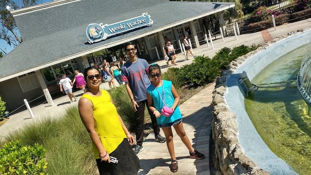 Weeki Wachee Spring - Image 3