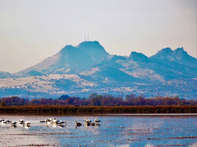 Sutter Buttes - Image 2
