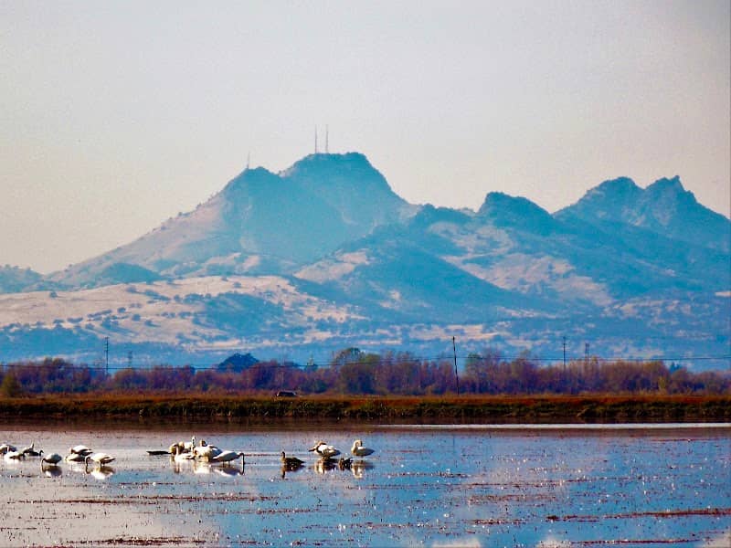 Sutter Buttes - Image 2