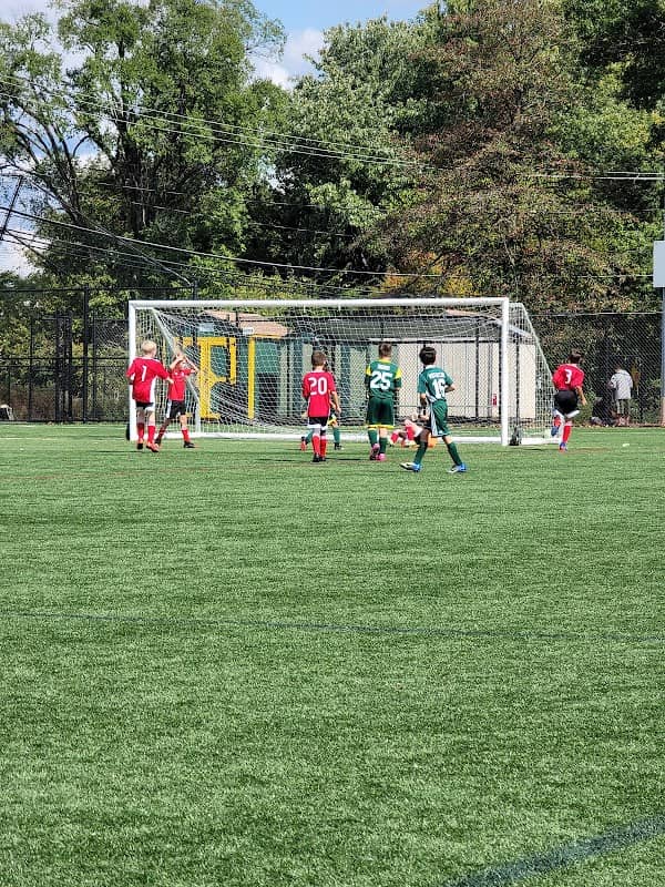 Green Wave Park - Image 1