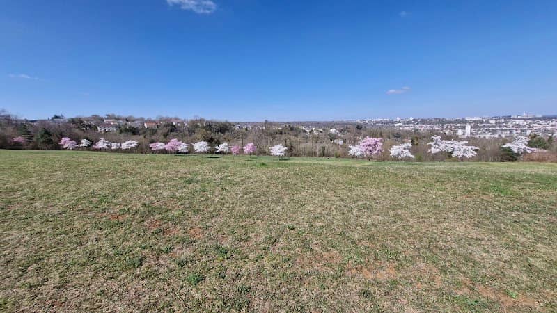 Point de vue sur Nancy - Image 1