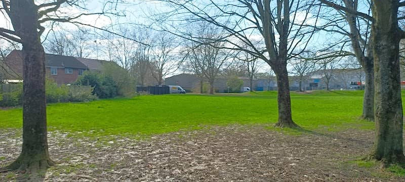 Whyte's Woods - Image 1